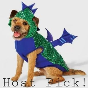 NWT Hyde & Eek! Boutique Pet Dragon Costume Dog Halloween Cute New